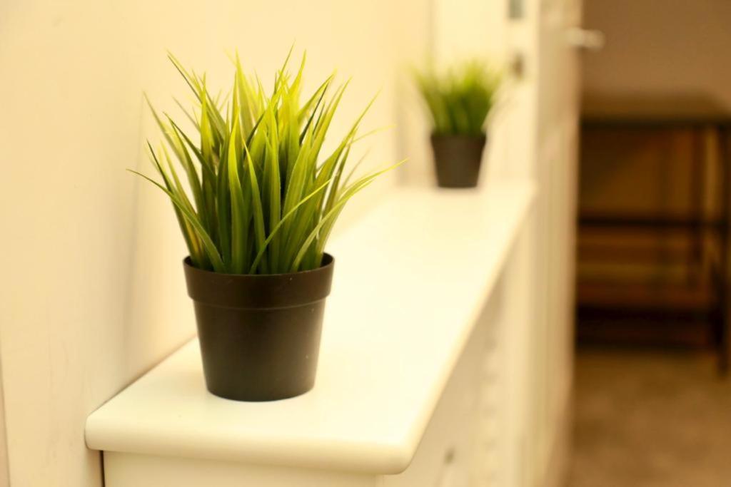 Lovely 2- Bedroom Apartment In เบลฟาสต์ ภายนอก รูปภาพ