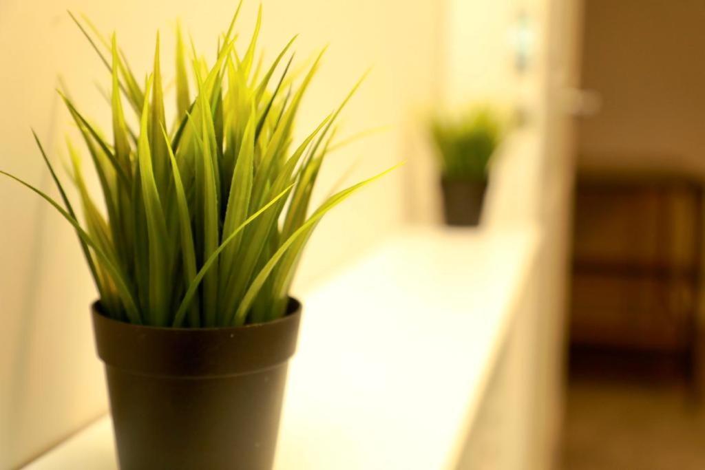 Lovely 2- Bedroom Apartment In เบลฟาสต์ ภายนอก รูปภาพ